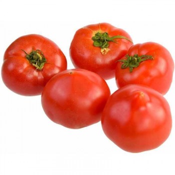 ������� ������ 500 ��