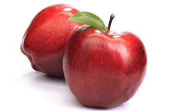 ������ ������� 500 ��